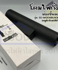โคมไฟกิ่งติดผนัง ส่องขึ้น-ลง สีดำ BEC รุ่น ZG-W004/BLACK