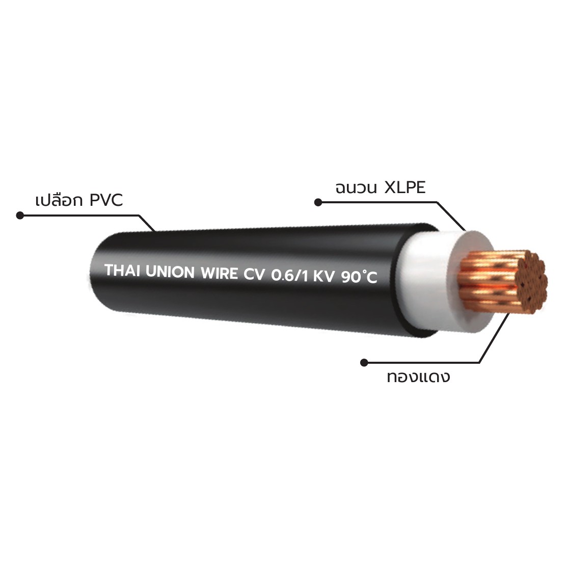 สายไฟ THAI UNION CV-1-core