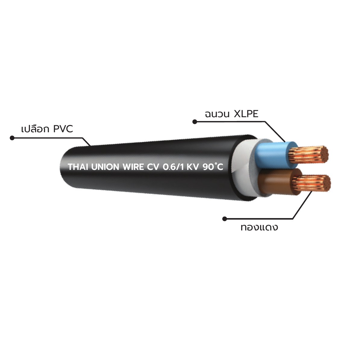 สายไฟ THAI UNION CV-2-core