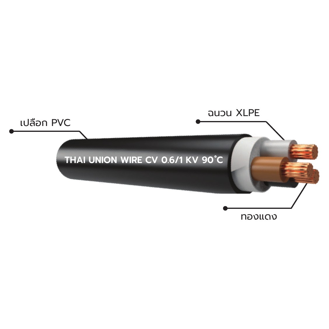สายไฟ THAI UNION CV-3-core